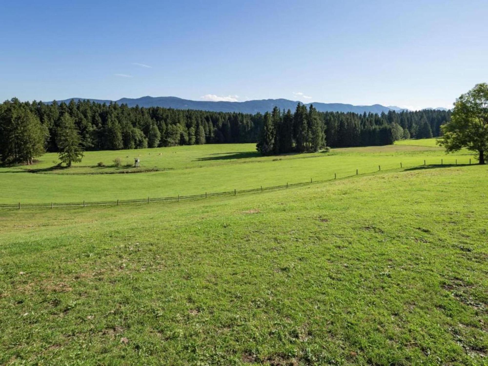 Apartment In Lechbruck Bavaria With Garden Esterno foto
